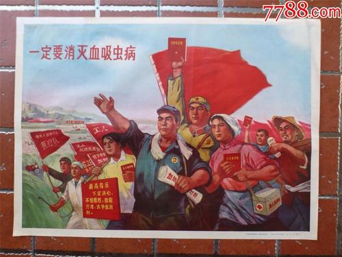 怎么办假伍德布里大学文凭毕业证